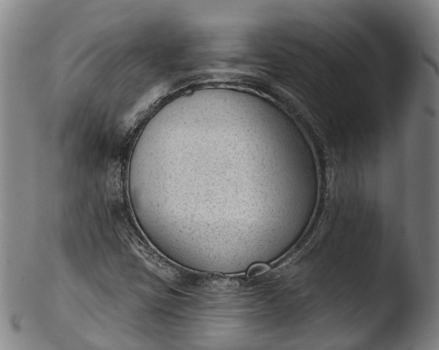 X0000103461403200809261829