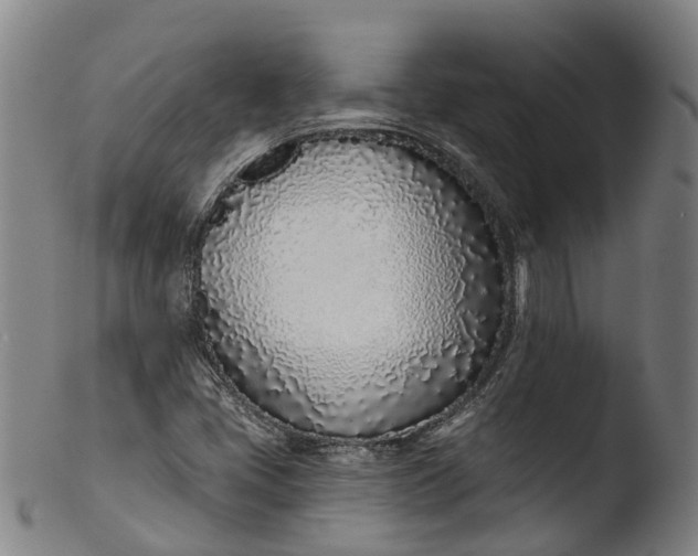 X0000103461405200809261829