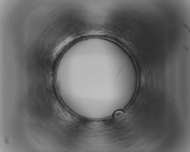 X0000103461406200809261829