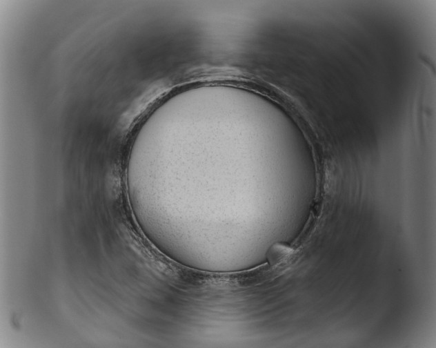 X0000103461407200809261829