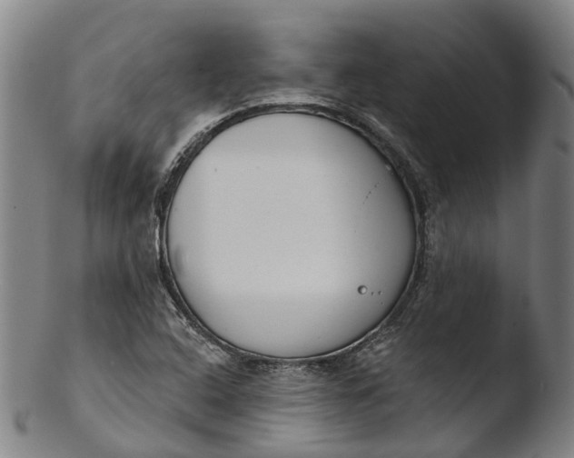 X0000103461408200809261830