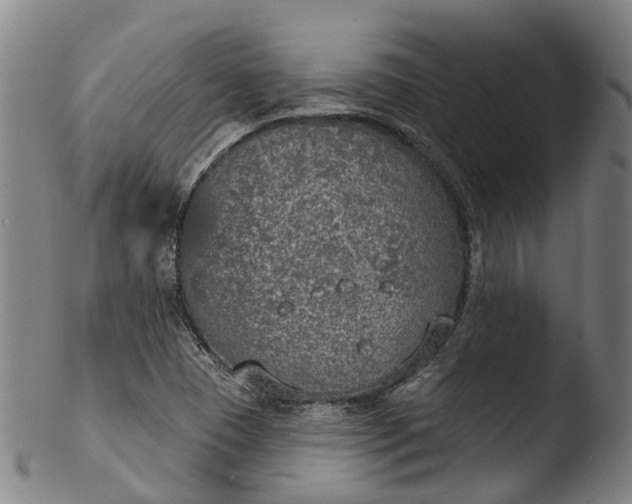 X0000103461409200809261830