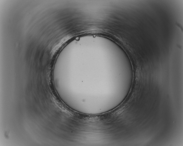 X0000103461410200809261830