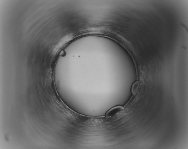 X0000103461411200809261830