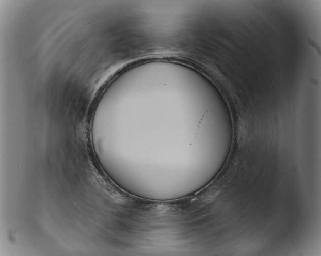 X0000103461412200809261830