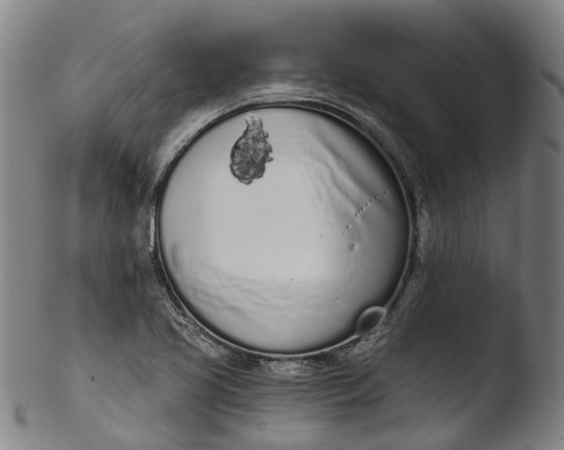 X0000103461413200809261830