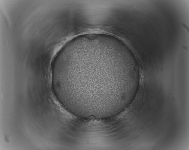 X0000103461414200809261830