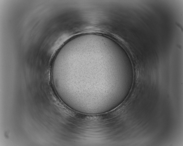 X0000103461415200809261830