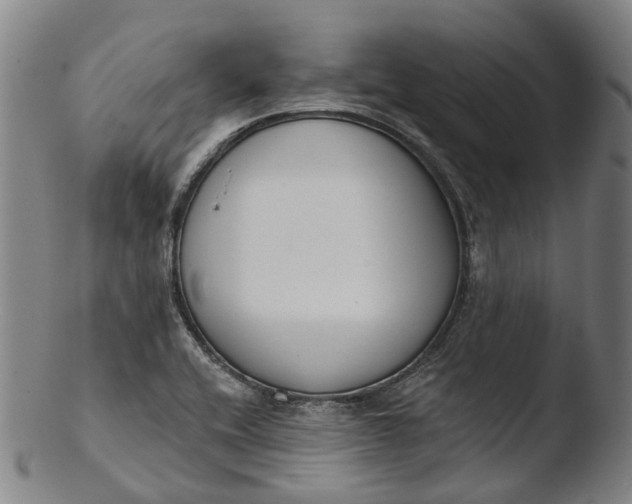 X0000103461416200809261830