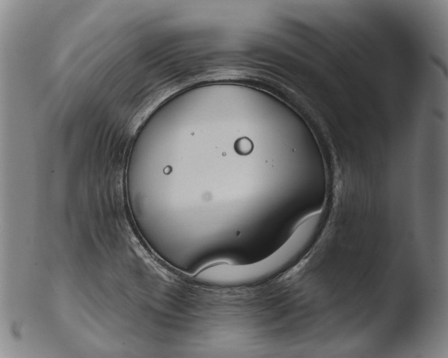 X0000103461417200809261830