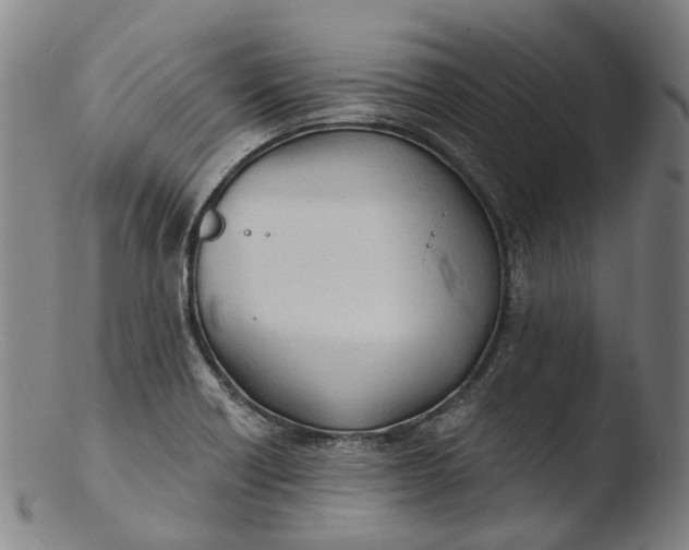 X0000103461418200809261830