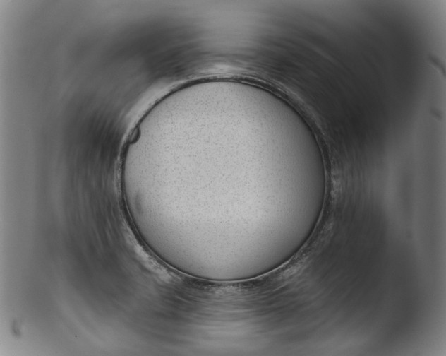 X0000103461421200809261830