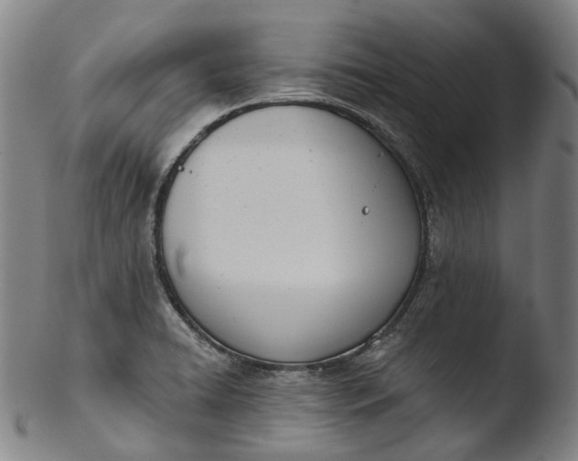 X0000103461422200809261830