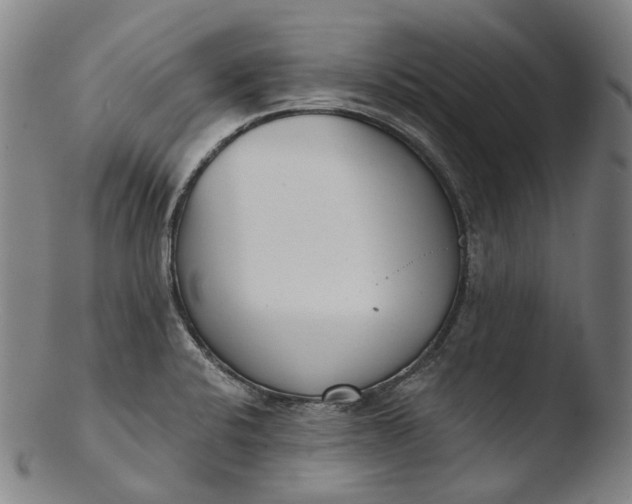 X0000103461424200809261830