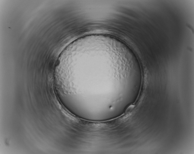 X0000103461425200809261830