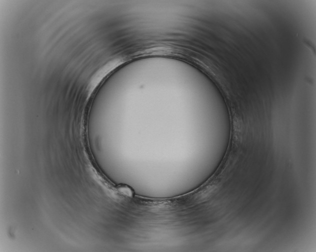 X0000103461426200809261830