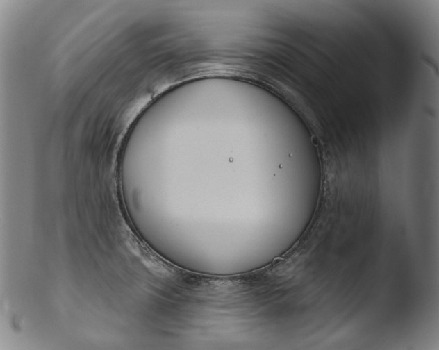 X0000103461427200809261830