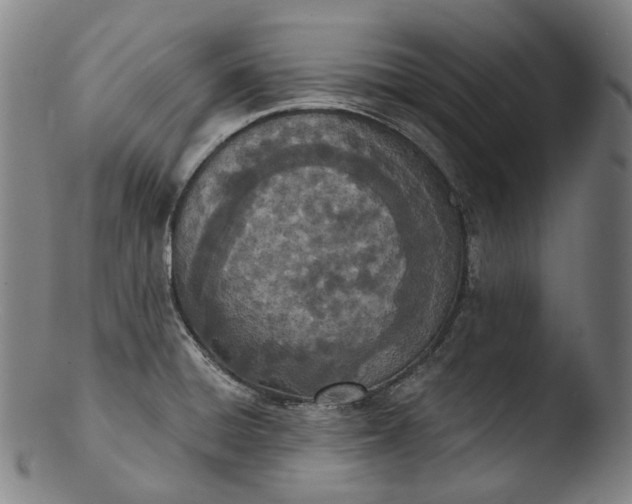 X0000103461428200809261830