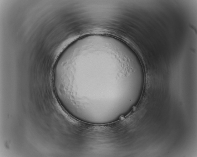 X0000103461429200809261830