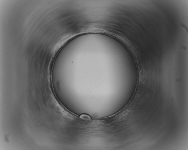 X0000103461430200809261830