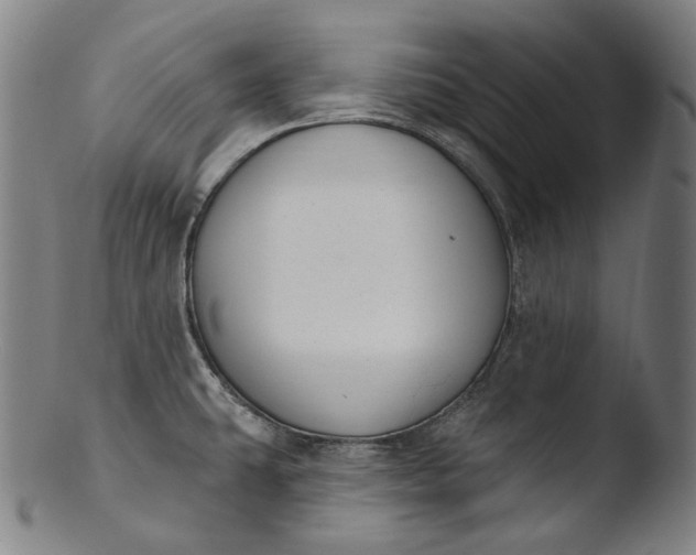 X0000103461431200809261830