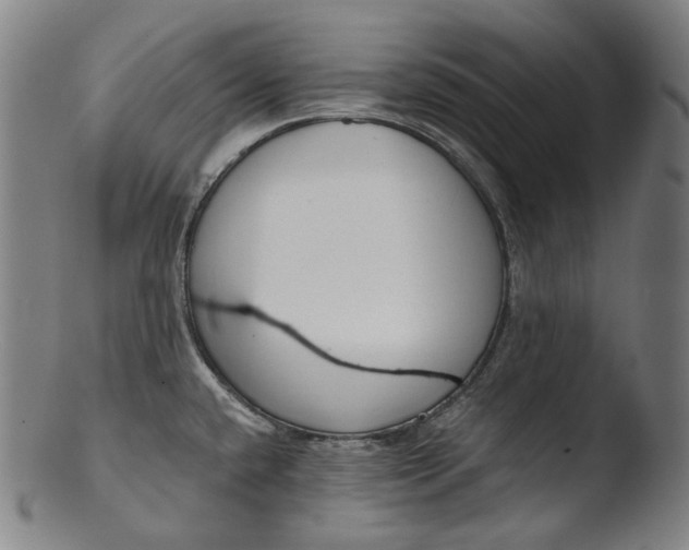 X0000103461432200809261830