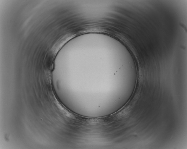 X0000103461433200809261830