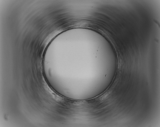 X0000103461434200809261830