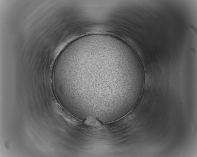 X0000103461435200809261830