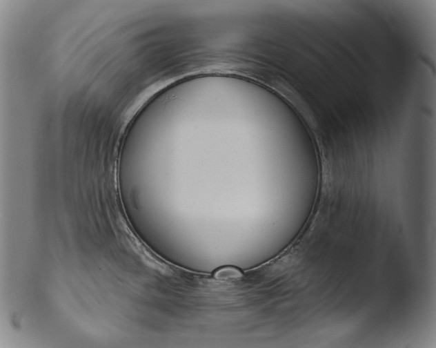 X0000103461436200809261830