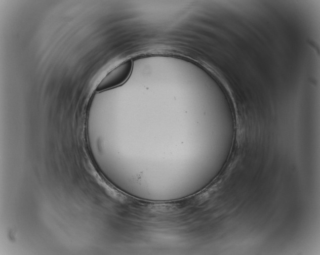 X0000103461437200809261830