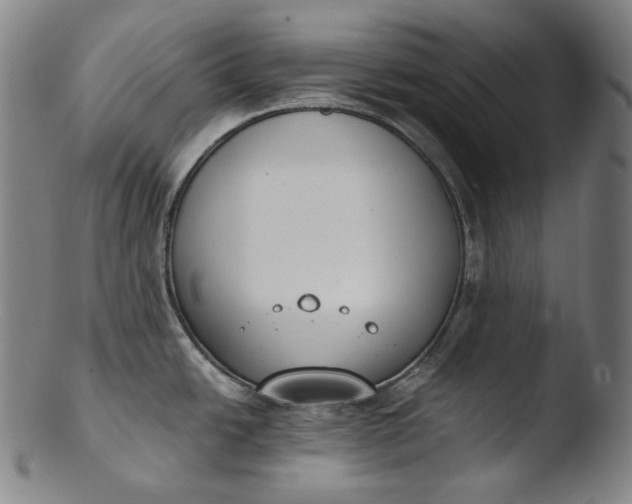 X0000103461438200809261830