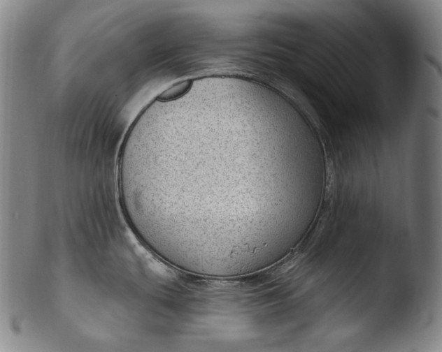 X0000103461439200809261830