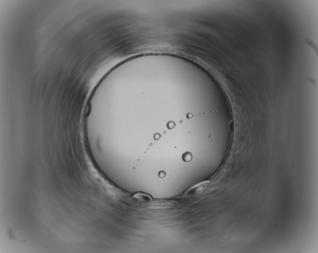 X0000103461440200809261830