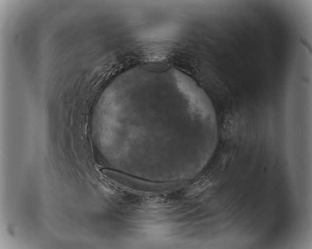 X0000103461441200809261829