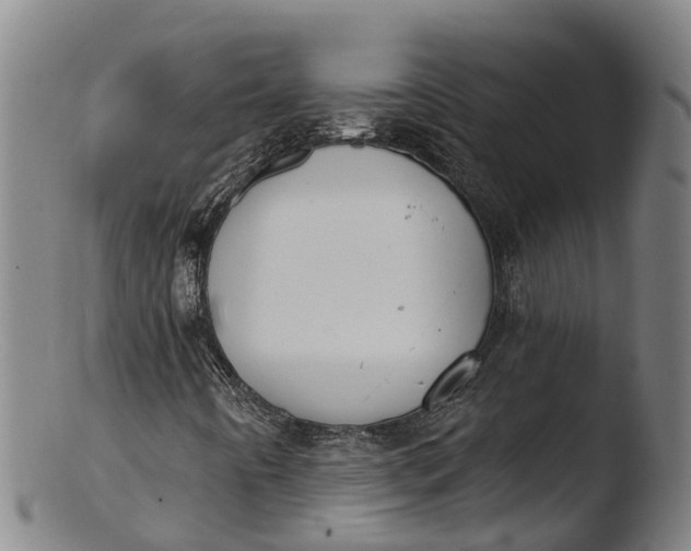 X0000103461442200809261829