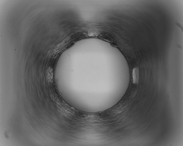 X0000103461443200809261829