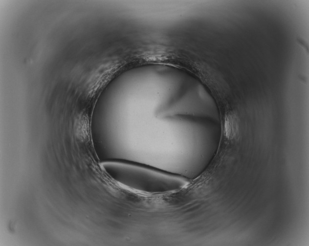 X0000103461444200809261829