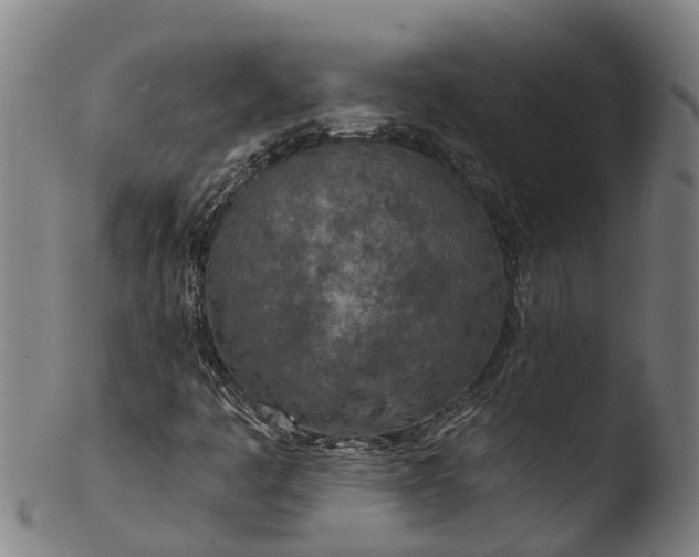 X0000103461445200809261829