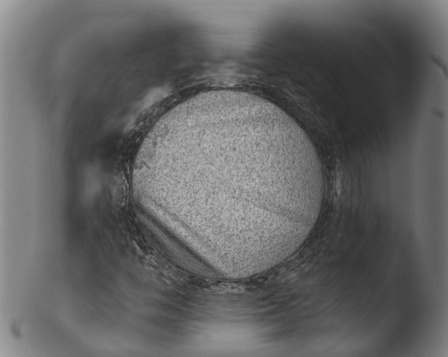 X0000103461446200809261829