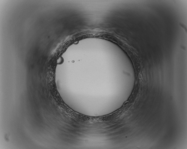 X0000103461447200809261829