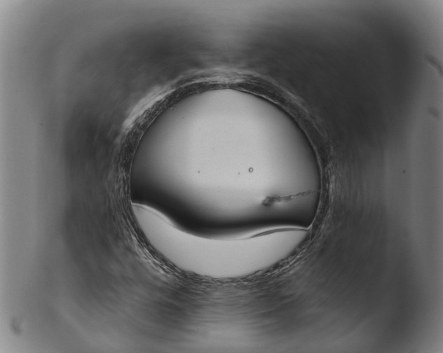 X0000103461448200809261829