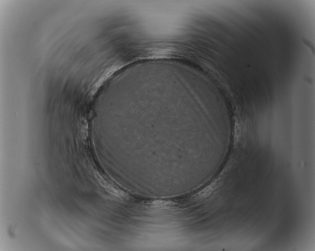 X0000103461449200809261829