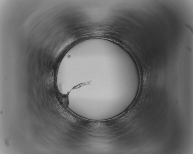 X0000103461450200809261829