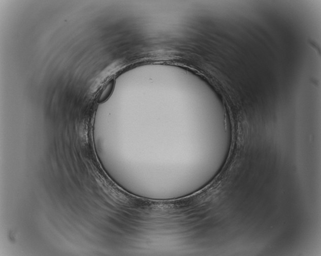 X0000103461451200809261829