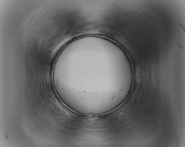 X0000103461452200809261829