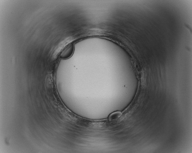 X0000103461453200809261829