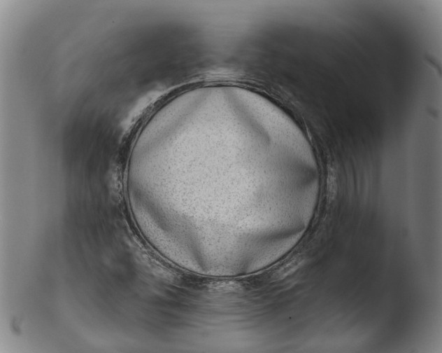 X0000103461454200809261829