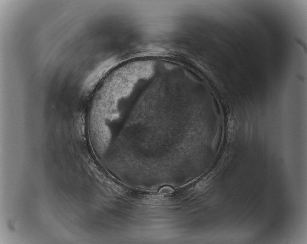 X0000103461455200809261829