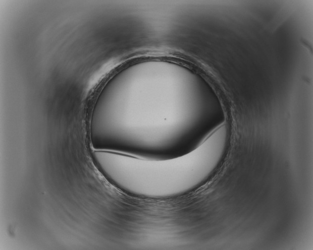 X0000103461456200809261829